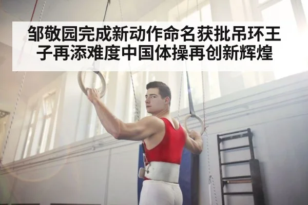 邹敬园完成新动作命名获批吊环王子再添难度中国体操再创新辉煌